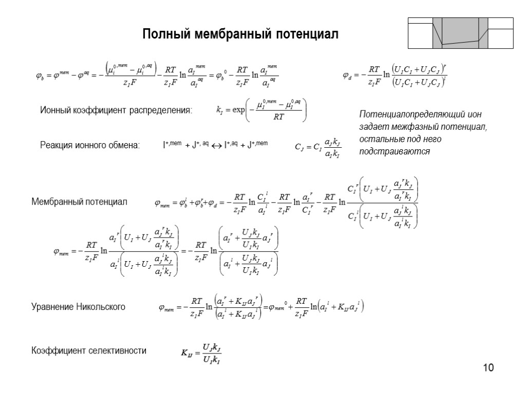 10 Полный мембранный потенциал Мембранный потенциал Уравнение Никольского Потенциалопределяющий ион задает межфазный потенциал, остальные